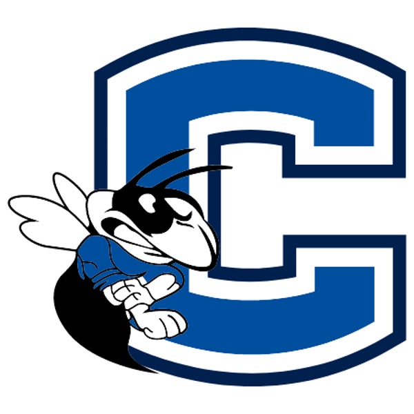 Picture for category Chelsea High School