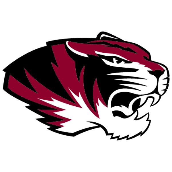 Picture for category Hartselle High School
