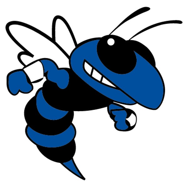 Picture for category Hatton High School