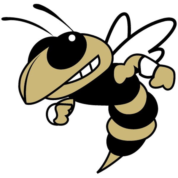 Picture for category McAdory High School