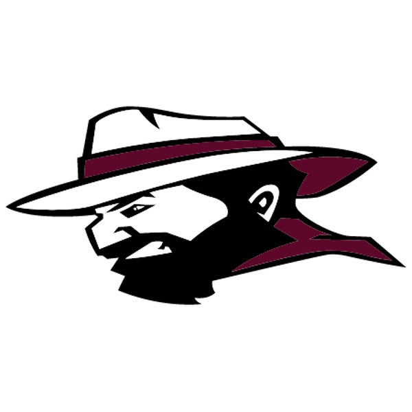 Picture for category Shades Valley High School