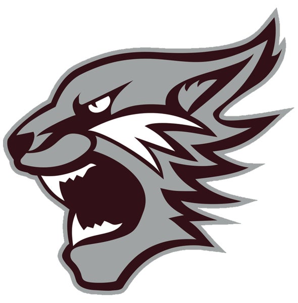 Picture for category Palestine High School