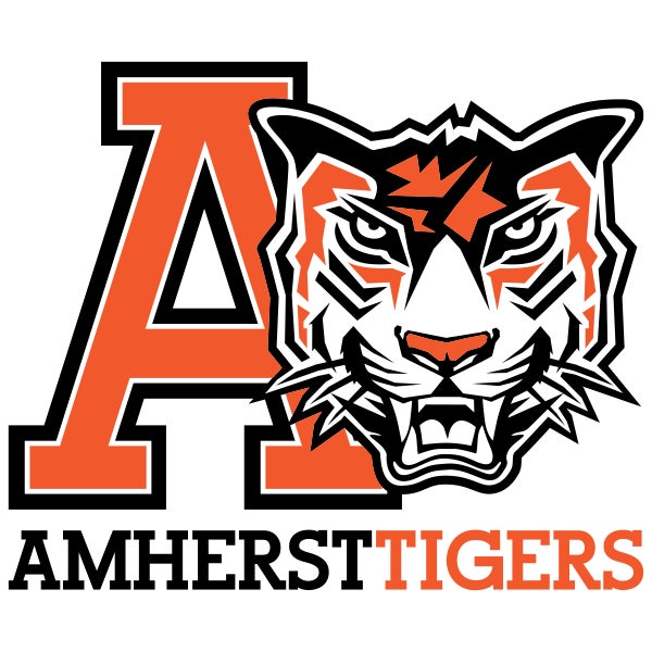 Picture for category Amherst High School