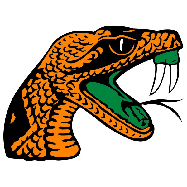 Picture for category Famu Drs High School