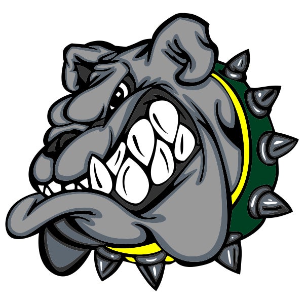 Picture for category Suwannee High School