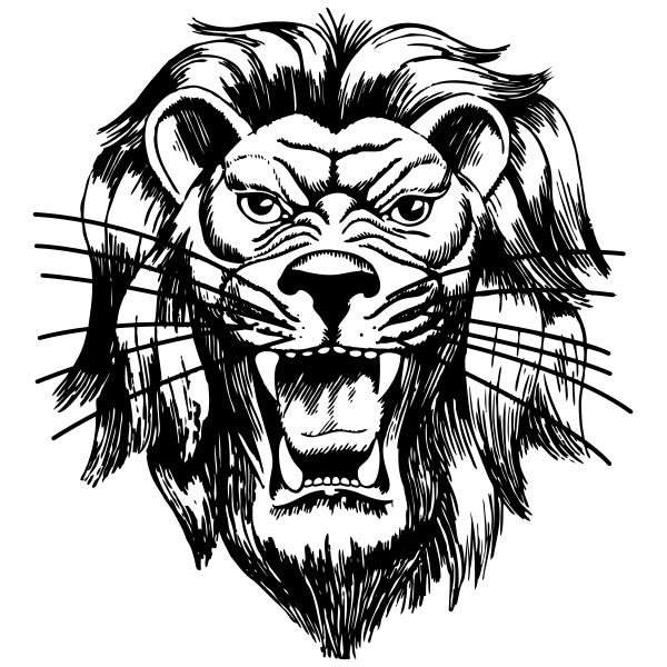 Picture for category The Rock School