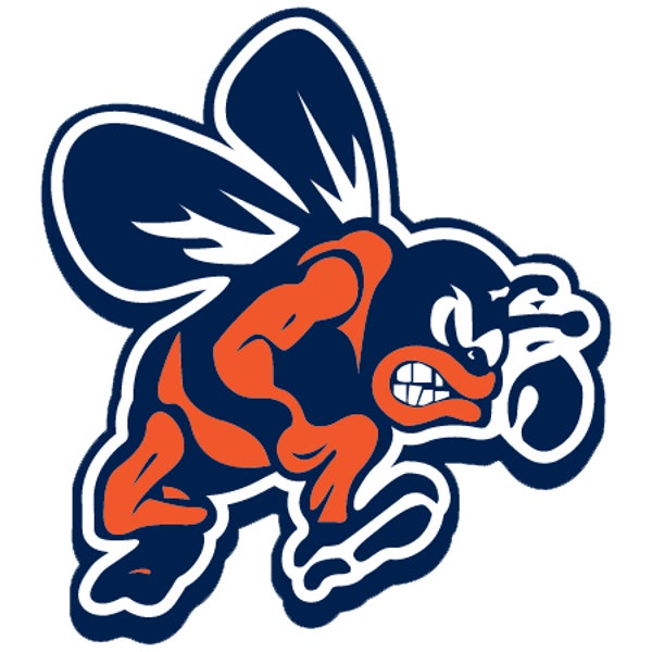 Picture for category Bridgman High School