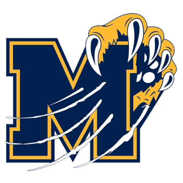 Picture for category Mattawan High School