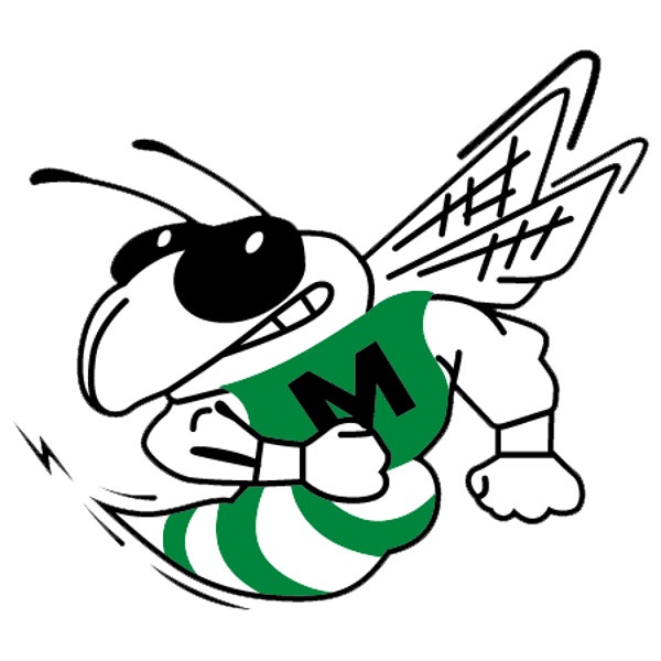 Picture for category Mendon Jr & Sr High School