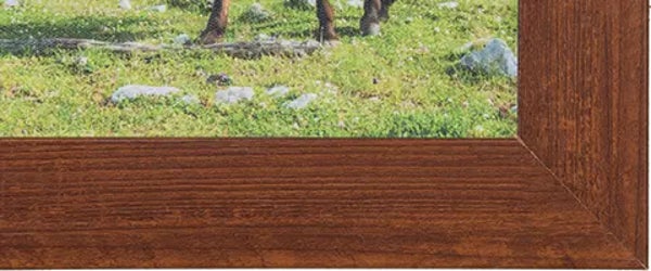 Picture of Framed Art Print  Canvas - Colorway 2
