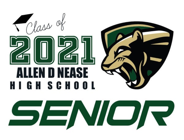 Picture of Allen D Nease High School - Design C