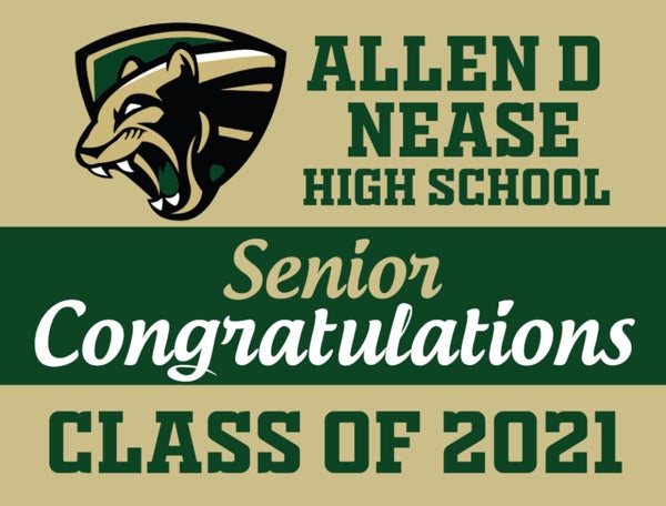 Picture of Allen D Nease High School - Design E