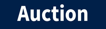 Picture of Auction