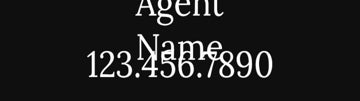 Picture of 36 x 18 Agent Photo Sign