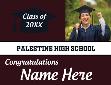 Picture of Palestine High School - Design E