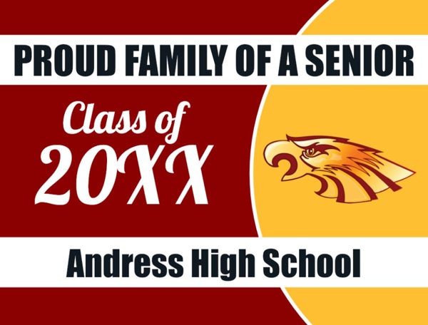 Picture of Andress High School - Design A