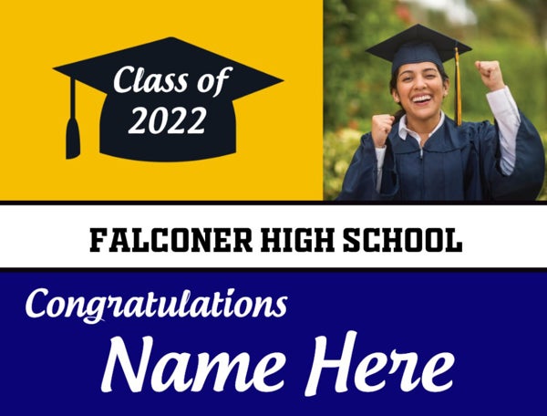 Picture of Falconer High School - Design E
