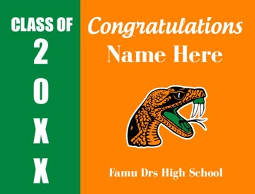Picture of Famu Drs High School - Design B