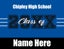 Picture of Chipley High School - Design C