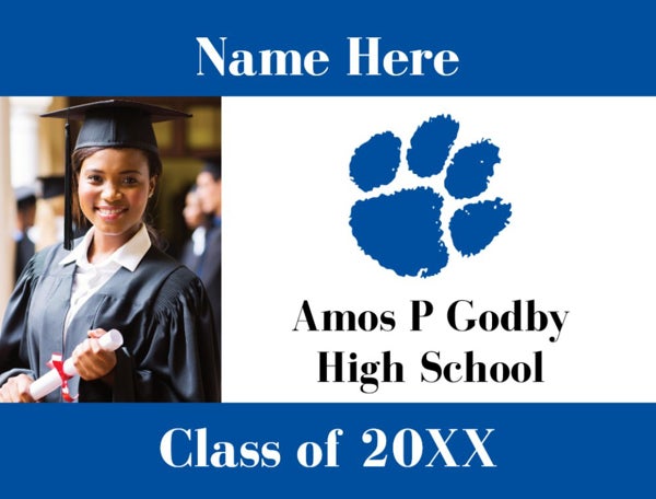 Picture of Amos P Godby High School - Design D