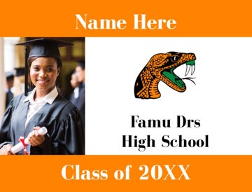 Picture of Famu Drs High School - Design D