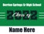 Picture of Berrien Springs Sr High School - Design C