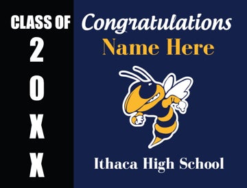 Picture of Ithaca High School - Design B