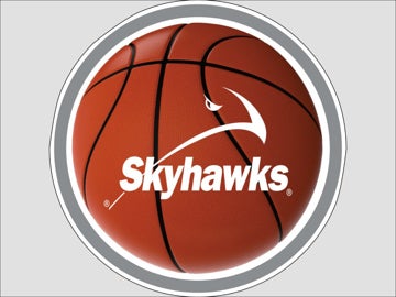 Picture of Circle Shaped  Basketball 17" Yard Sign