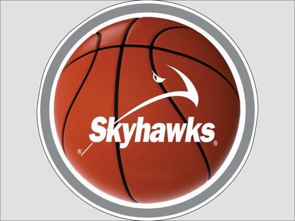 Picture of Circle Shaped  Basketball 17" Yard Sign