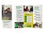 Picture of Whole Home No Termite - Tri-fold Brochure