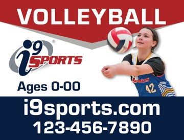 Picture of VOLLEYBALL 3