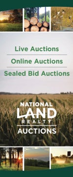 Picture of Auctions Retractable Banner 78"H x 33"W