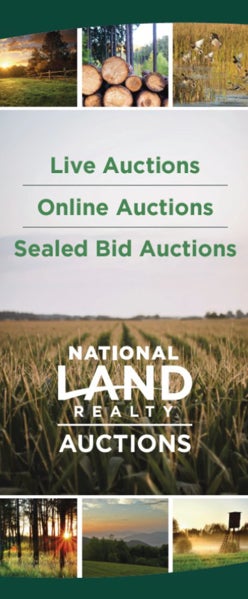 Picture of Auctions Retractable Banner 78"H x 33"W
