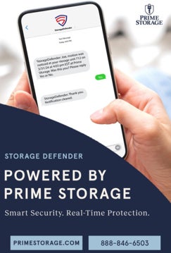 Picture of Storage Defender 2 - 36x24 Poster