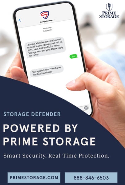 Picture of Storage Defender 2 - 36x24 Poster