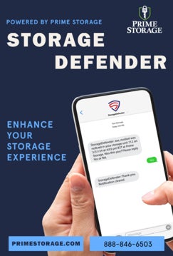 Picture of Storage Defender 4 - 36"x24" Poster