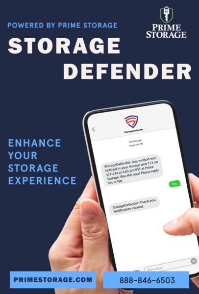 Picture of Storage Defender 4 - 36"x24" Poster