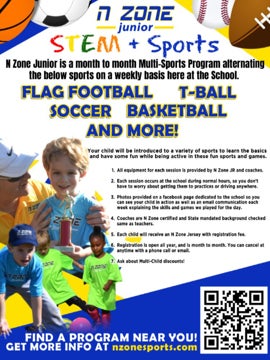 Picture of Multi Sports - 18 x 24  Laminated Poster