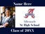 Picture of Albemarle High School - Design D