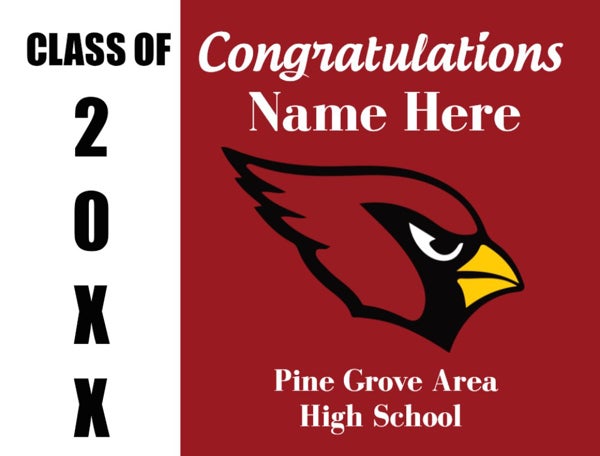 Picture of Pine Grove Area HS - Design B