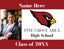 Picture of Pine Grove Area HS - Design D