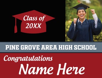 Picture of Pine Grove Area HS - Design E