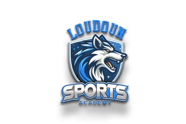 Picture for category Loudoun Sports Academy