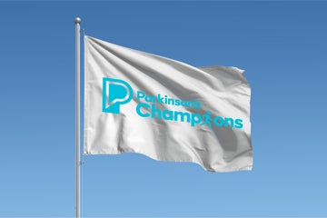 Picture of Rectangle Flag - Multiple Sizes