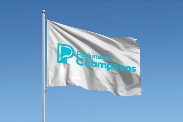 Picture of Rectangle Flag - Multiple Sizes