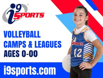 Picture of VOLLEYBALL 2