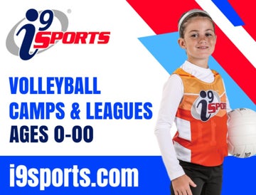 Picture of VOLLEYBALL 1