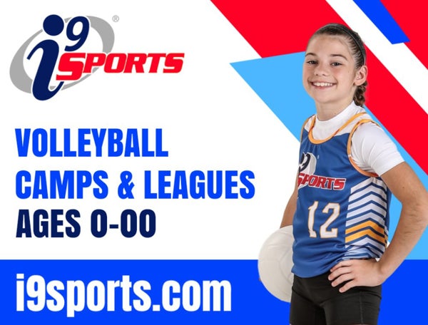 Picture of VOLLEYBALL 2