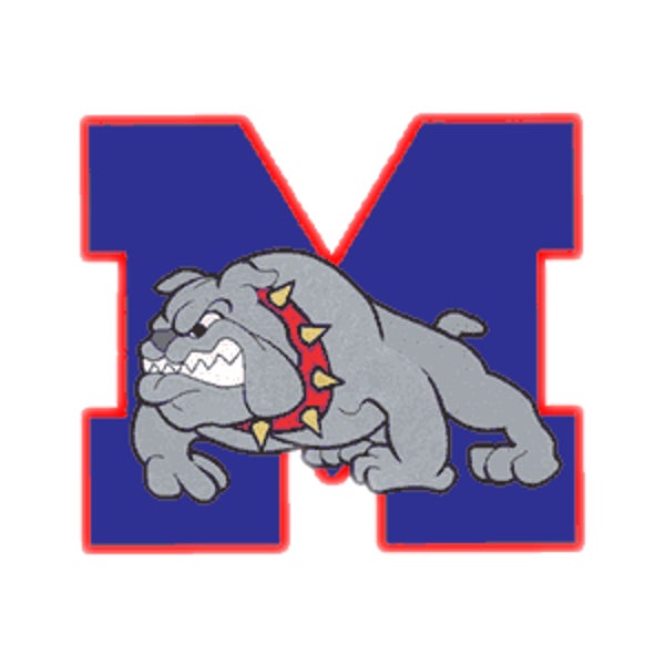 Picture for category Mason High School