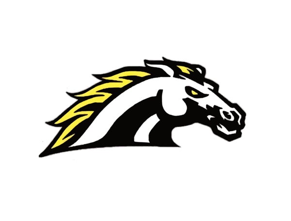 Picture for category Dansville High School